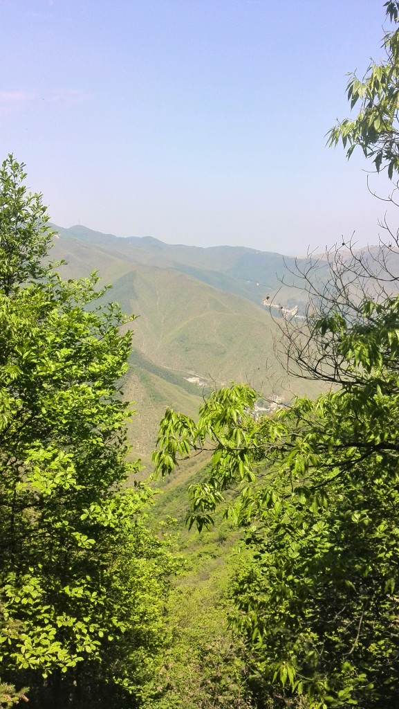 IMG_20150426_104519