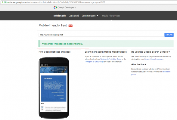 Google Mobile-Friendly Test